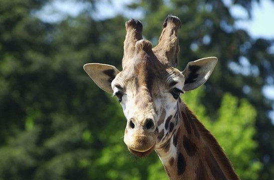 Zoo Amersfoort